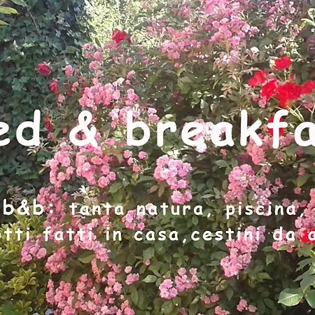 La Solagna * Montebello di Bertona