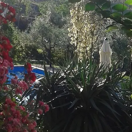 Alloggio per agriturismo Agriturismo La Solagna *