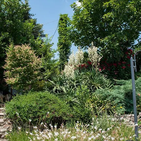 Alloggio per agriturismo Agriturismo La Solagna