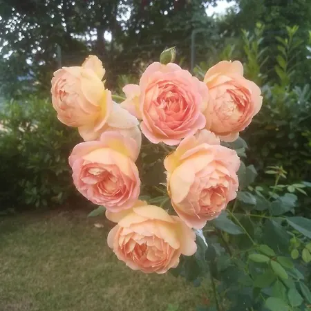 Séjour à la ferme La Solagna *