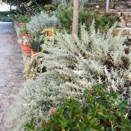 Agriturismo La Solagna *