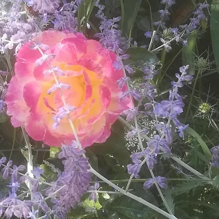 La Solagna Montebello di Bertona