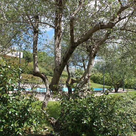 Alloggio per agriturismo Agriturismo La Solagna